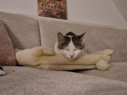 MAYA ❤️ DRINGEND!