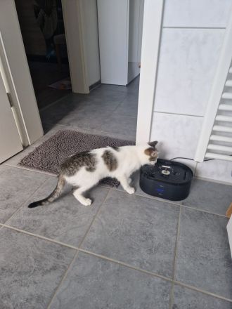 MAYA ❤️ DRINGEND!