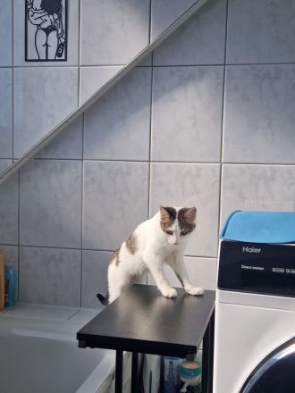 MAYA ❤️ DRINGEND!