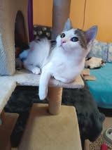 MAYA ❤️ DRINGEND!