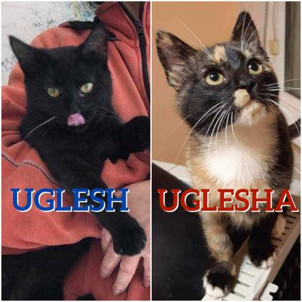 UGLESH & UGLESHA ❤ EILIG!