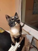 UGLESH & UGLESHA ❤ EILIG!