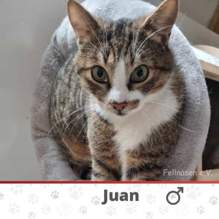 JUAN ❤