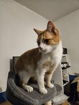 CAESAR & CLEOPATRA ❤️