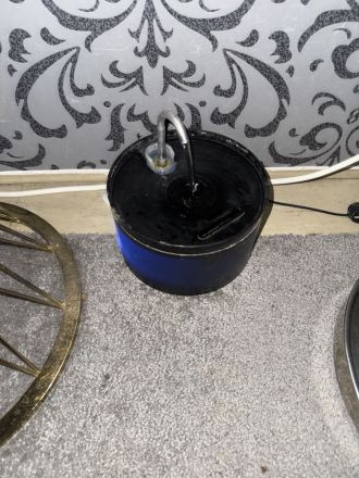 Coco sucht eine liebevolles Zuhause ❤️🐾