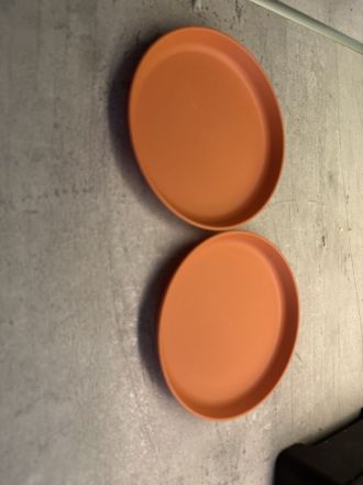 Coco sucht eine liebevolles Zuhause ❤️🐾