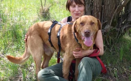 Menschenbezogener Ricky sucht ein Zuhause