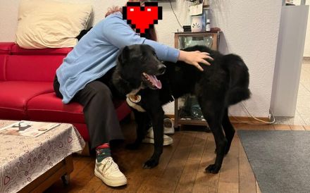 Helios sucht ein neues Traum-Zuhause.