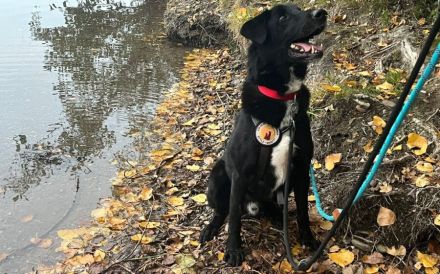 Helios sucht ein neues Traum-Zuhause.