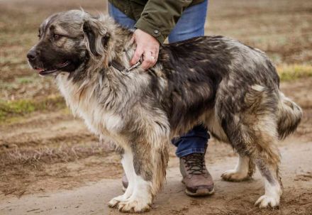 Irina, ruhig, sanft und zurückhaltend