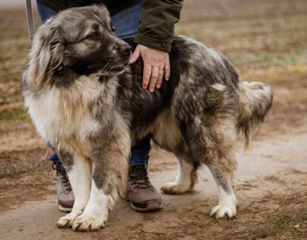 Irina, ruhig, sanft und zurückhaltend