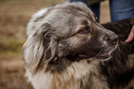 Irina, ruhig, sanft und zurückhaltend