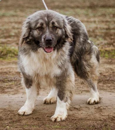 Irina, ruhig, sanft und zurückhaltend