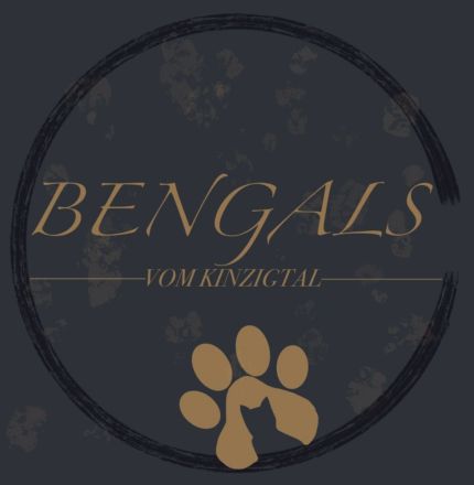 Bengalvomkinzigtal