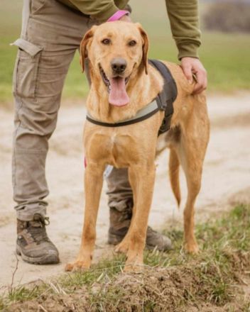 Ati, Sportskanone sucht Menschen, die fit sind