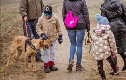 Ati, Sportskanone sucht Menschen, die fit sind
