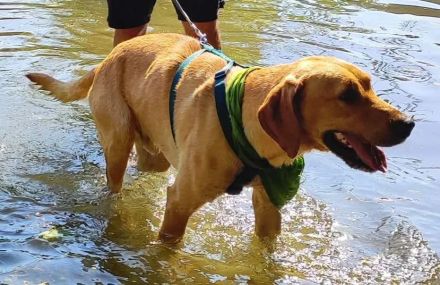 Ati, Sportskanone sucht Menschen, die fit sind