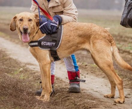 Ati, Sportskanone sucht Menschen, die fit sind