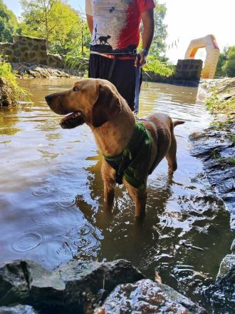 Ati, Sportskanone sucht Menschen, die fit sind