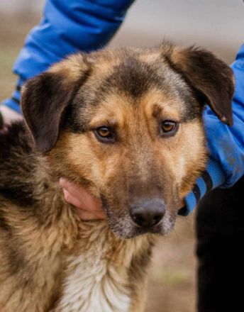 Jeromos, mit vielen Flausen im Kopf
