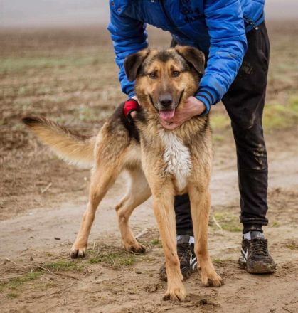 Jeromos, mit vielen Flausen im Kopf