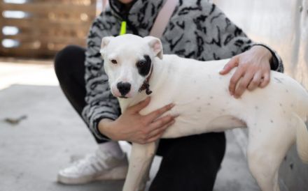 Kämpferin Maria verdient liebevolles Zuhause