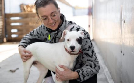 Kämpferin Maria verdient liebevolles Zuhause