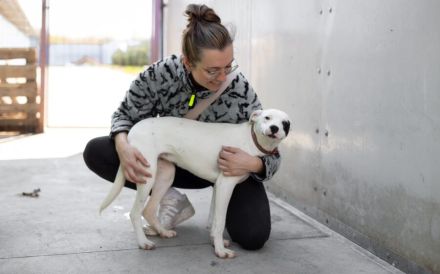 Kämpferin Maria verdient liebevolles Zuhause