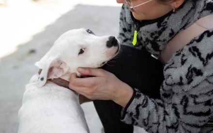 Kämpferin Maria verdient liebevolles Zuhause