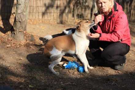 Toffee - ist ein lustiger Typ