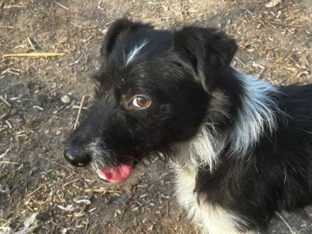 Hummel - kennt wahrscheinlich noch nicht viel von der Welt