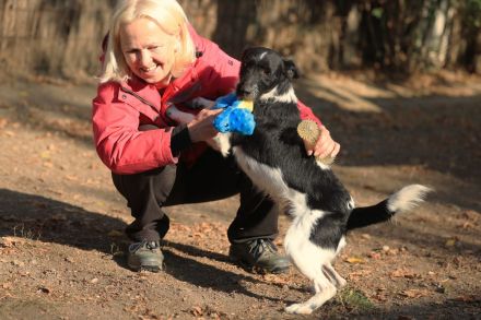 Hummel - kennt wahrscheinlich noch nicht viel von der Welt