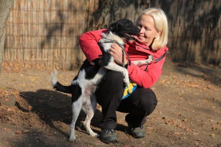 Hummel - kennt wahrscheinlich noch nicht viel von der Welt
