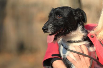 Hummel - kennt wahrscheinlich noch nicht viel von der Welt