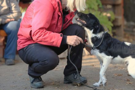 Hummel - kennt wahrscheinlich noch nicht viel von der Welt