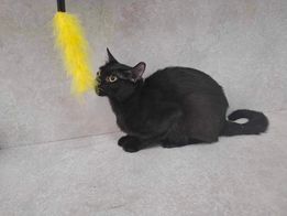 GUFI ❤️ LIEBT KONAKT ZU MENSCHEN