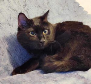 GUFI ❤️ LIEBT KONAKT ZU MENSCHEN