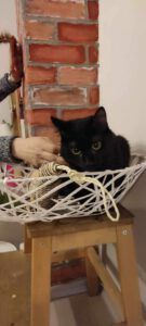 GUFI ❤️ LIEBT KONAKT ZU MENSCHEN