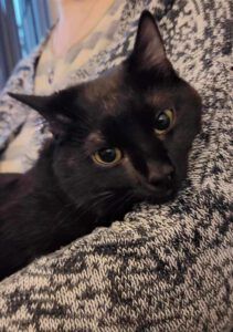 GUFI ❤️ LIEBT KONAKT ZU MENSCHEN