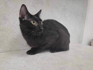 GUFI ❤️ LIEBT KONAKT ZU MENSCHEN