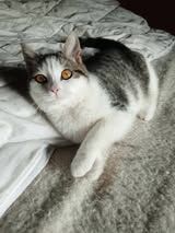 MISSY  ❤  MIT DEN BEZAUBERNDEN AUGEN