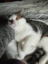 MISSY  ❤  MIT DEN BEZAUBERNDEN AUGEN