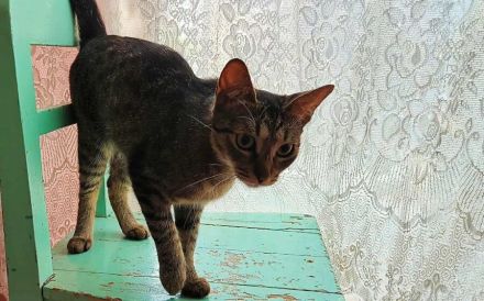 Frida möchte dein Leben bereichern!