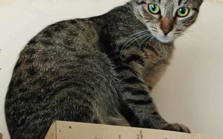 Frida möchte dein Leben bereichern!