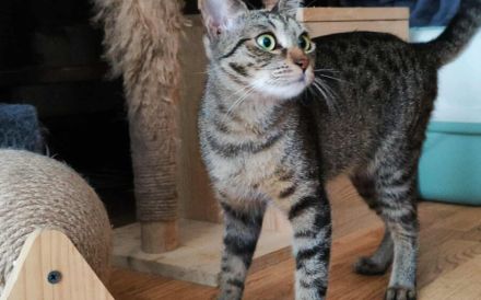 Frida möchte dein Leben bereichern!