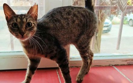 Frida möchte dein Leben bereichern!