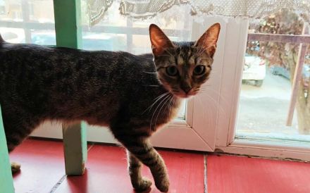 Frida möchte dein Leben bereichern!