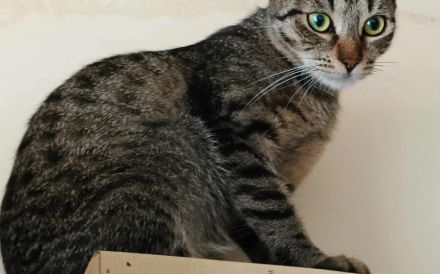 Frida möchte dein Leben bereichern!