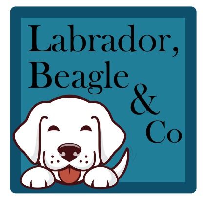 Ausbildung zum Besuchshunde-Team