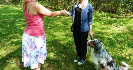 Ausbildung zum Besuchshunde-Team